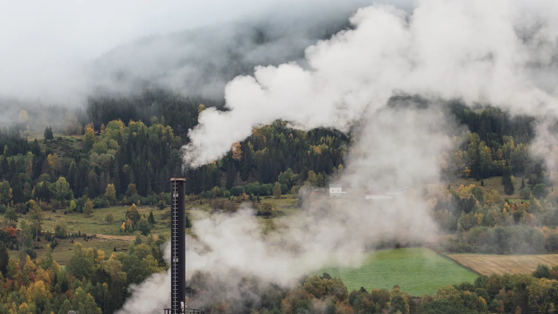 Blick auf einen qualmenden Fabrikschornstein in ländlicher Umgebung/Wald
